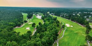 Guide to Magnolia Greens