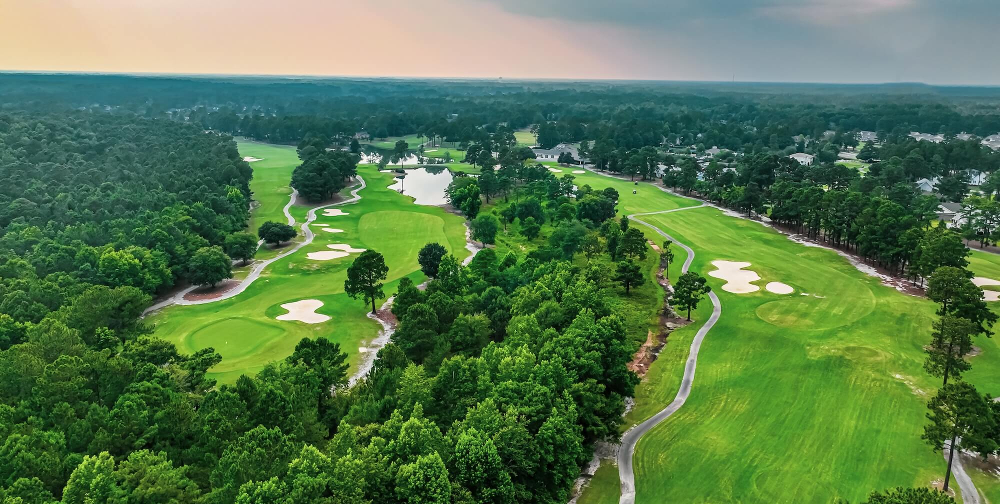 Guide to Magnolia Greens